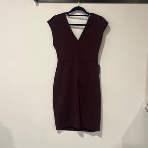 Express Burgundy Dress
